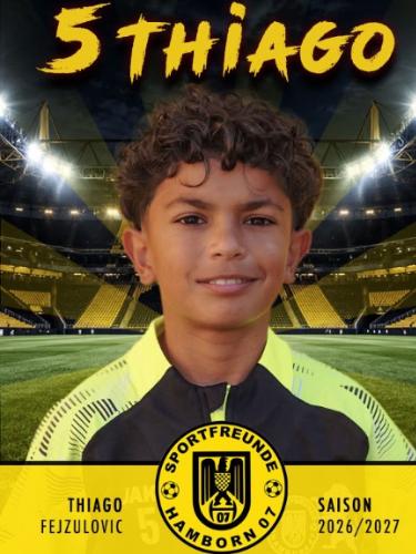 Thiago Fejzulovic