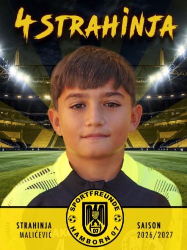 Strahinja Malicevic
